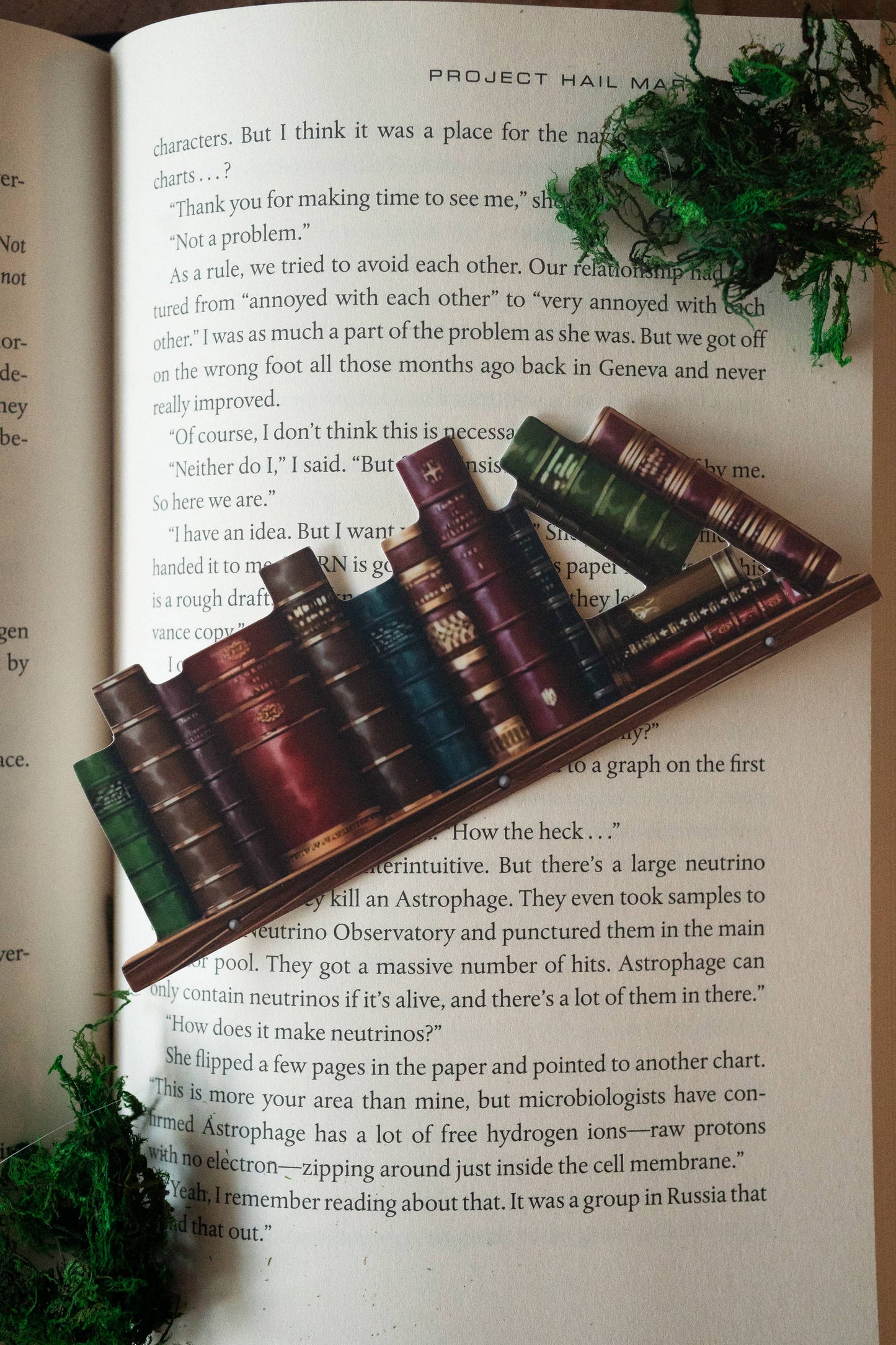 The Timeless Tomes Bookshelf Bookmark