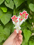 Indian Paintbrush Flower Watercolor 4" Vinyl Sticker