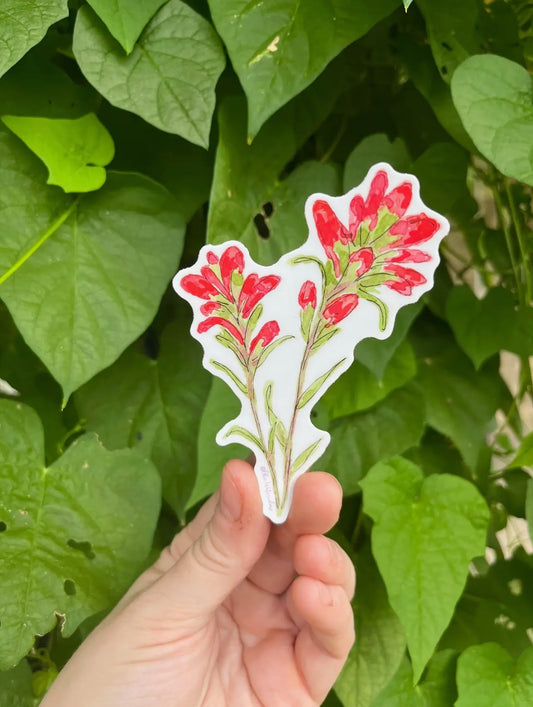 Indian Paintbrush Flower Watercolor 4" Vinyl Sticker
