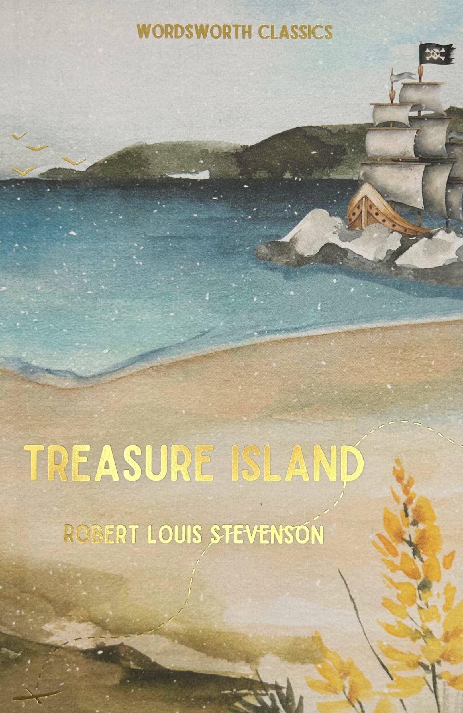 Treasure Island | Stevenson | Wordsworth Classic | Book