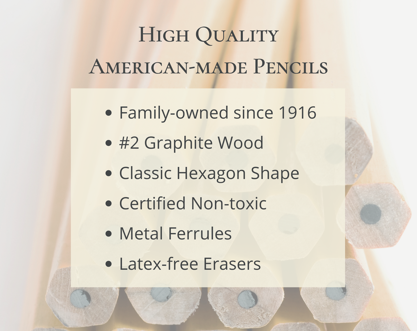 Banned Books 19th Century Pencil Set