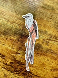 Scissor-Tailed Flycatcher 5" Vinyl Sticker