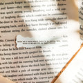 Write Me A Story Sticker | Divine Rivals Rebecca Ross Letters of Enchantment