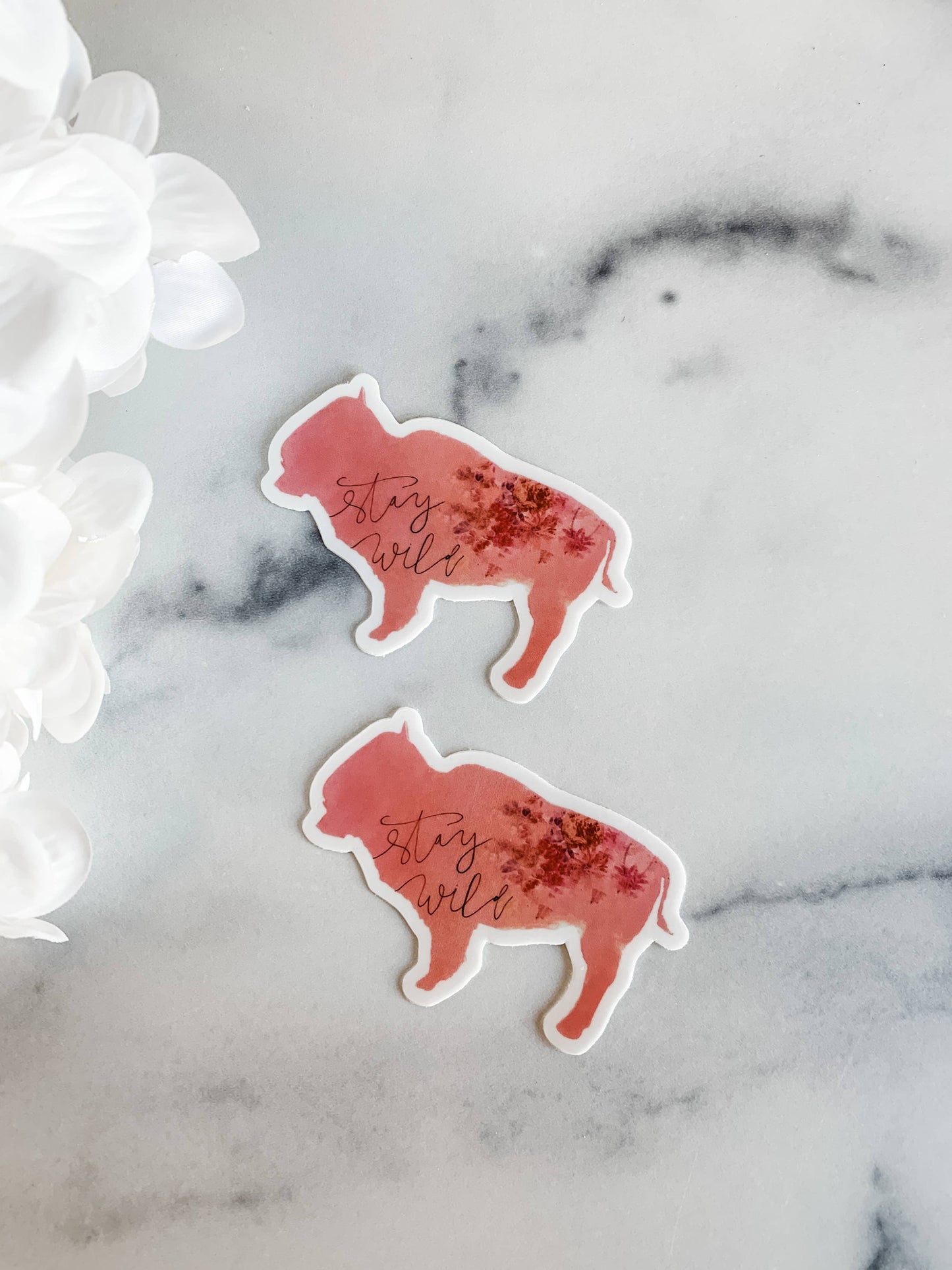 Stay Wild Floral Bison Coral Pink Sticker Decal