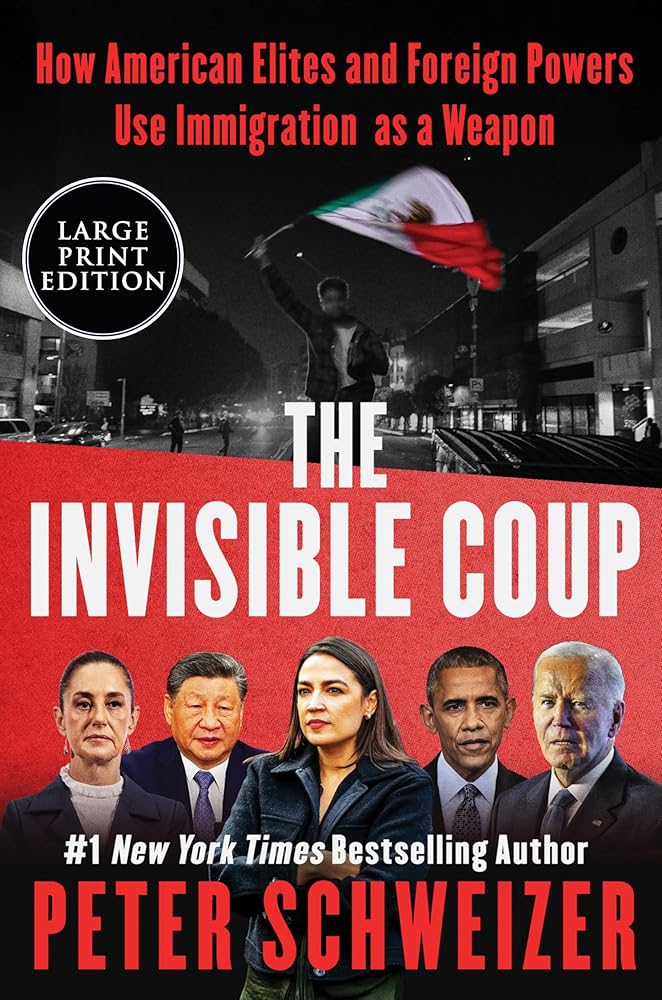 The Invisible Coup: How American Elites and Foreign Powers Use Immigration as a Weapon cover image
