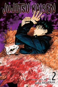 Jujutsu Kaisen, Vol. 2 (2) cover image