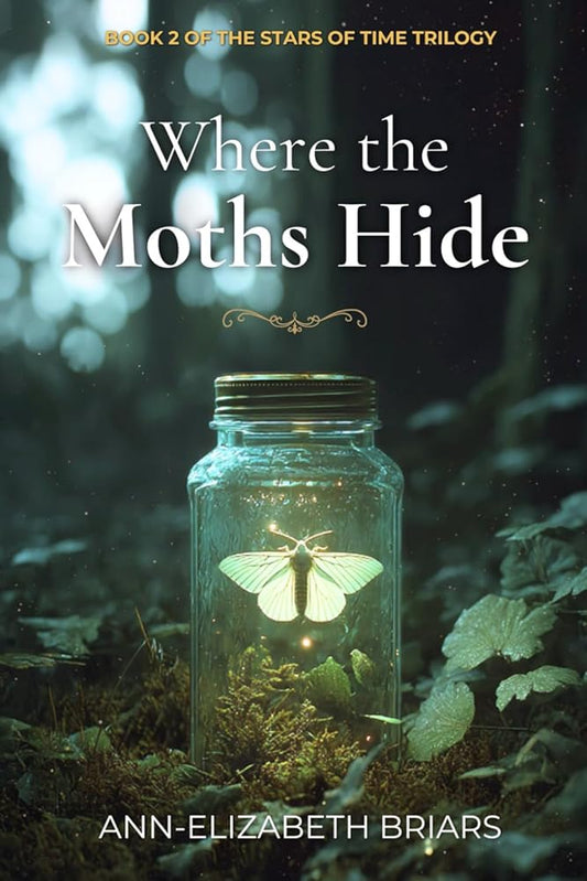 Where the Moths Hide: Victorian Time Travel Romantic Suspense (The Stars of Time Trilogy Book 2) cover image