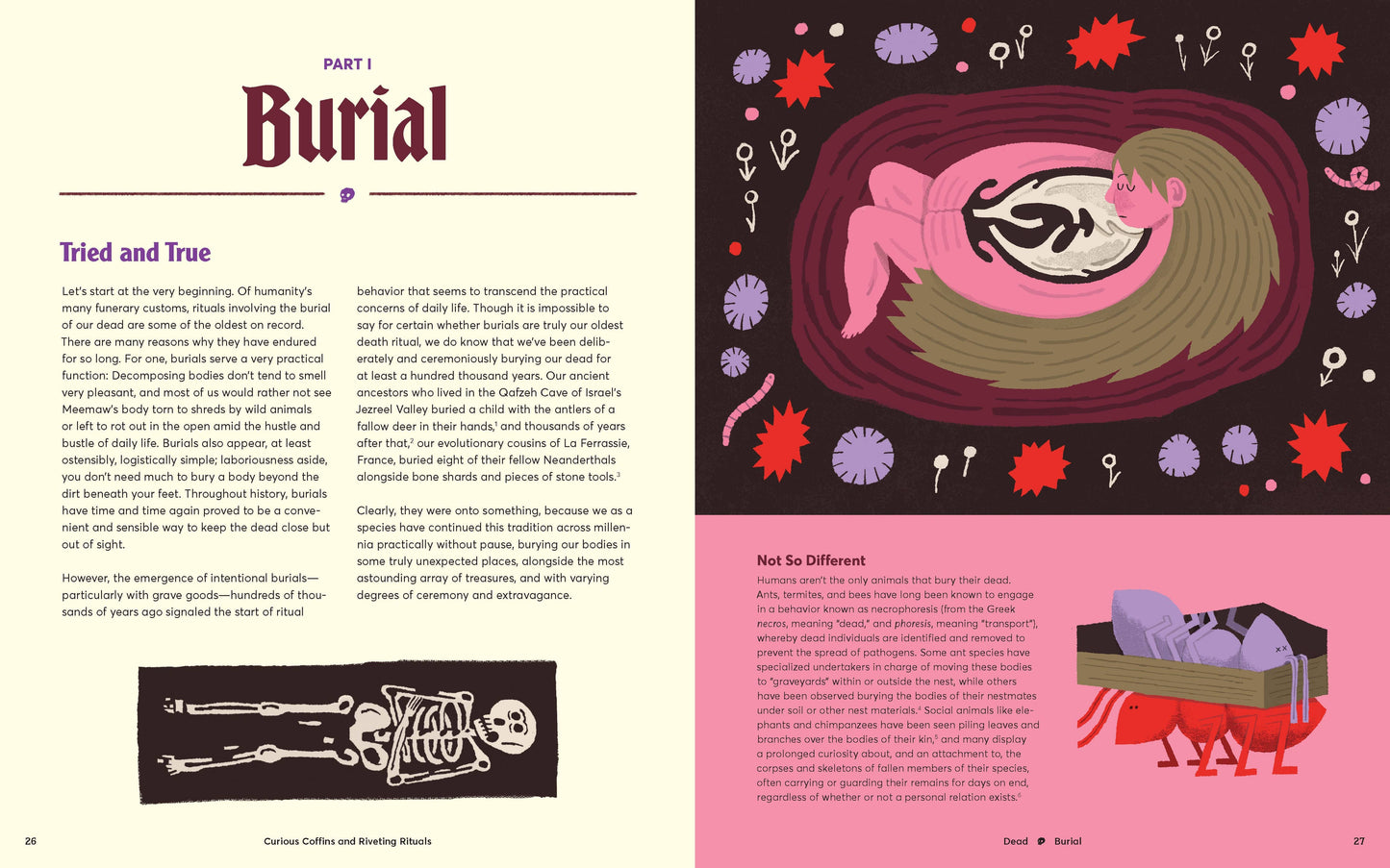 Curious Coffins and Riveting Rituals