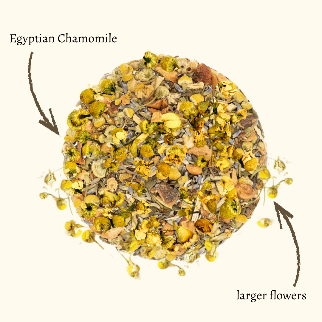 A Dream Within a Dream with Egyptian Chamomile (Warehouse Edition)