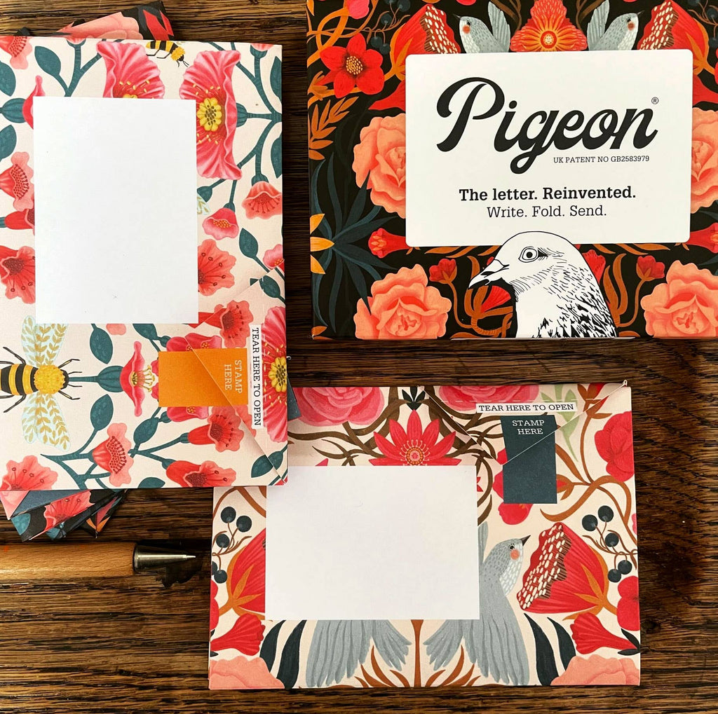 Bright & Beautiful Pigeon, Folding Letters, Pack of 6