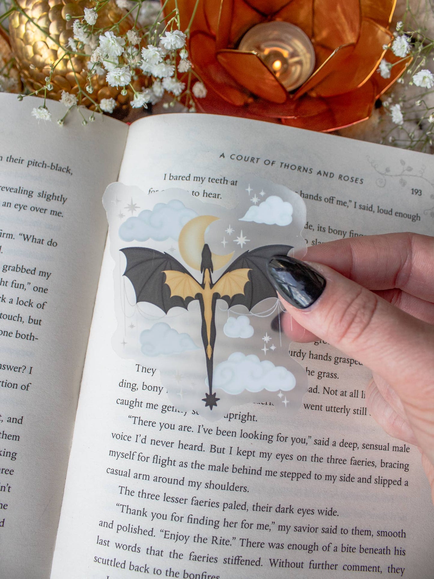 Fourth Wing | Violet's Signet Dragons Waterproof Sticker