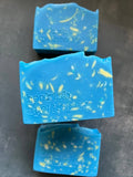 Tom Sawyer Book Lover Handmade Soap