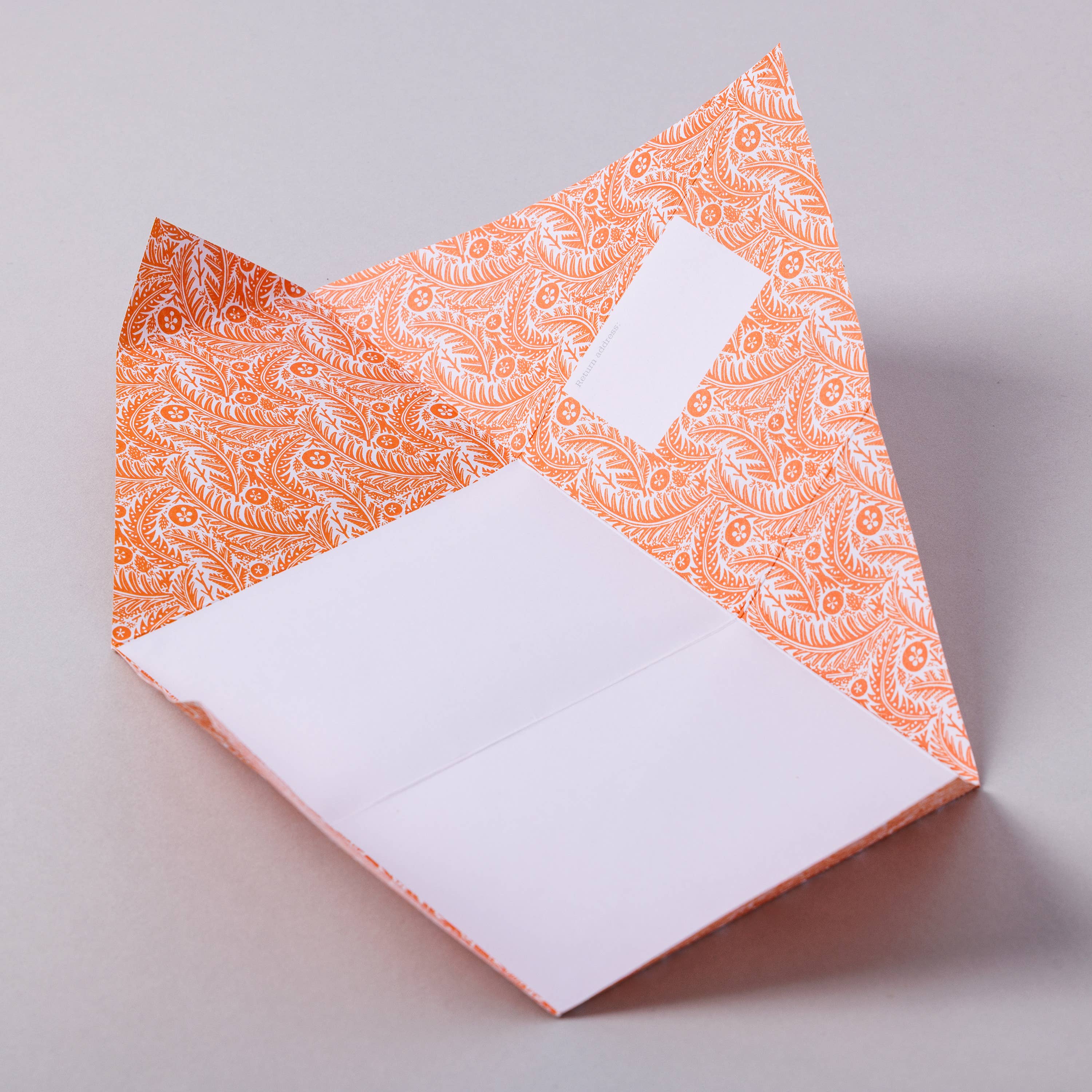 Nature Study Pigeon, Folding Letter Set – Pack of 6 Letters